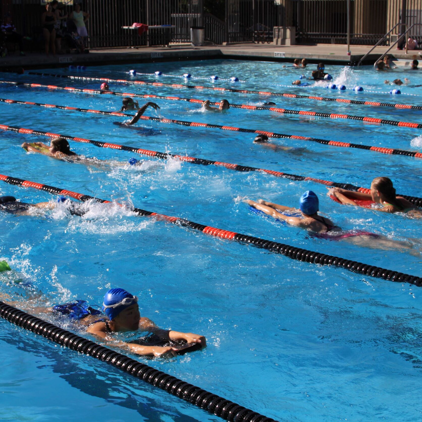 people doing lap swim