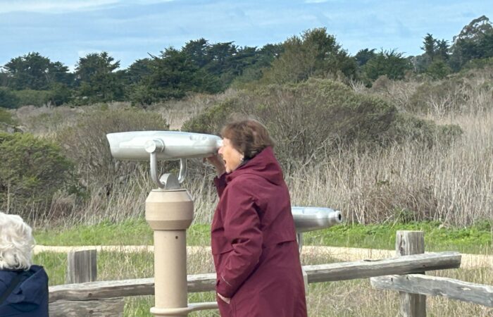 woman looking through binoculars at ano nuevo beach