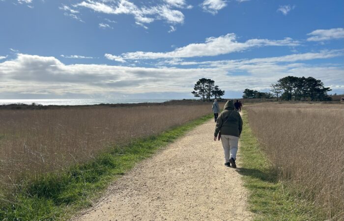 Seniors hiking near the ocean