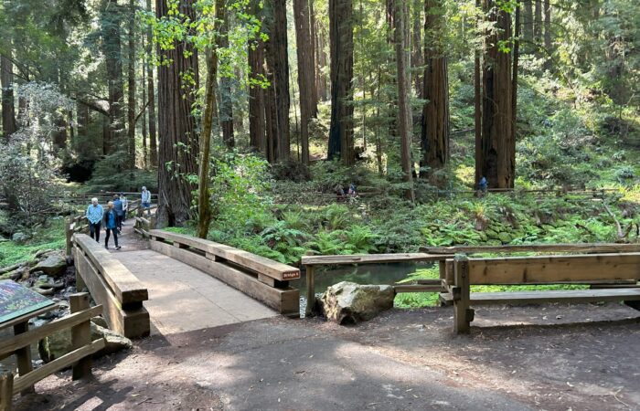 seniors at muir woods