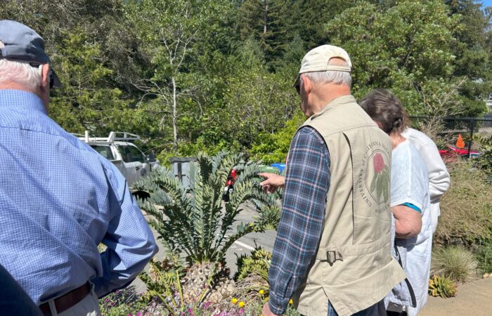 docent talking about plants at Spring Blooms Garden Tour