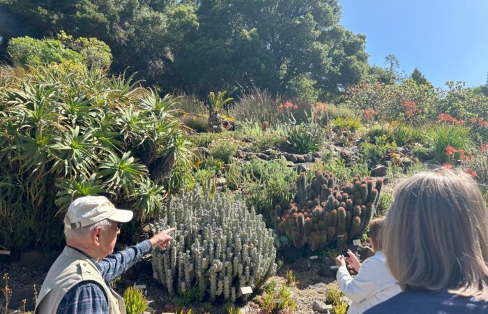 Spring Blooms Garden Tour