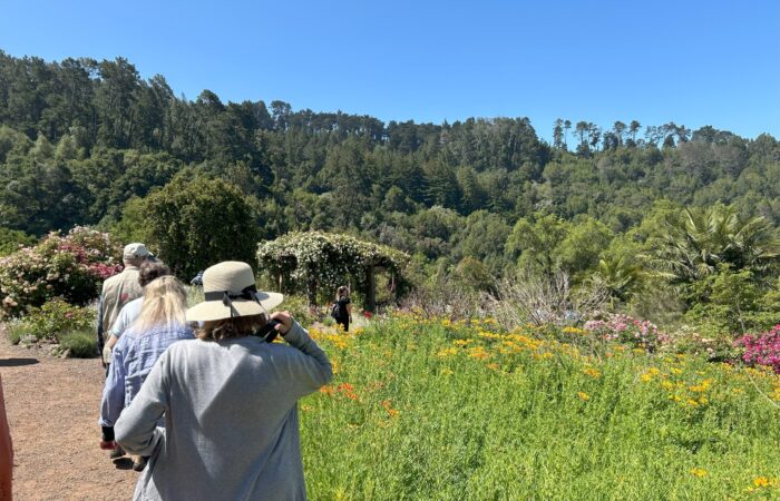 Seniors at Spring Blooms Garden Tour