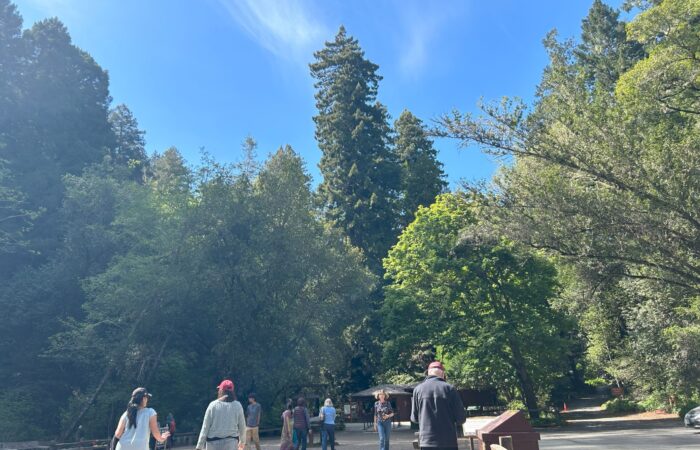 seniors at muir woods