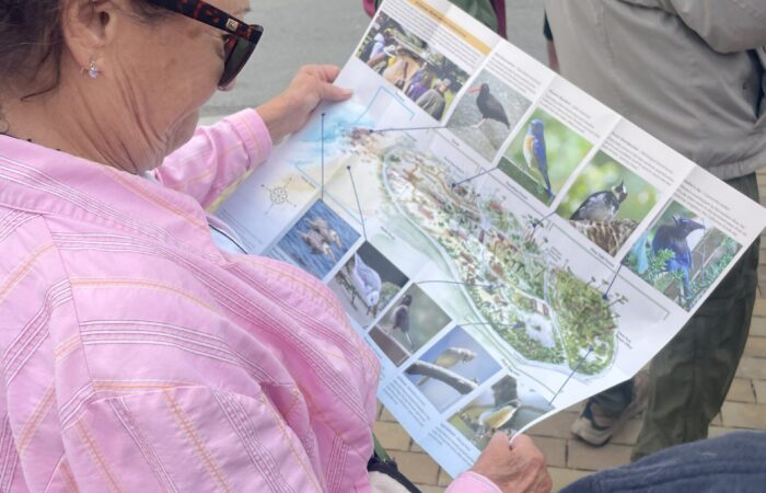 Participant looking at map of Asilomar