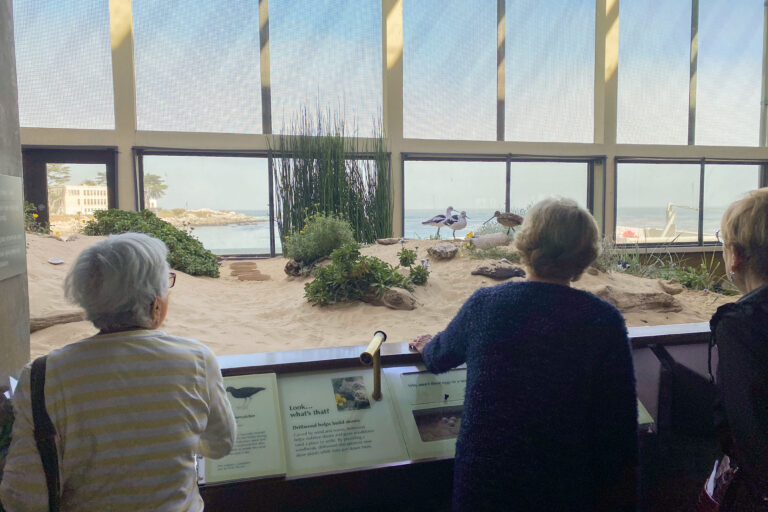 Adult trip to Monterey bay aquarium seniors looking at exhibit