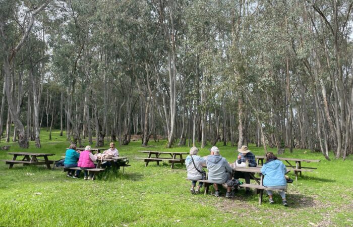 Jack London state park trip - picnic lunch